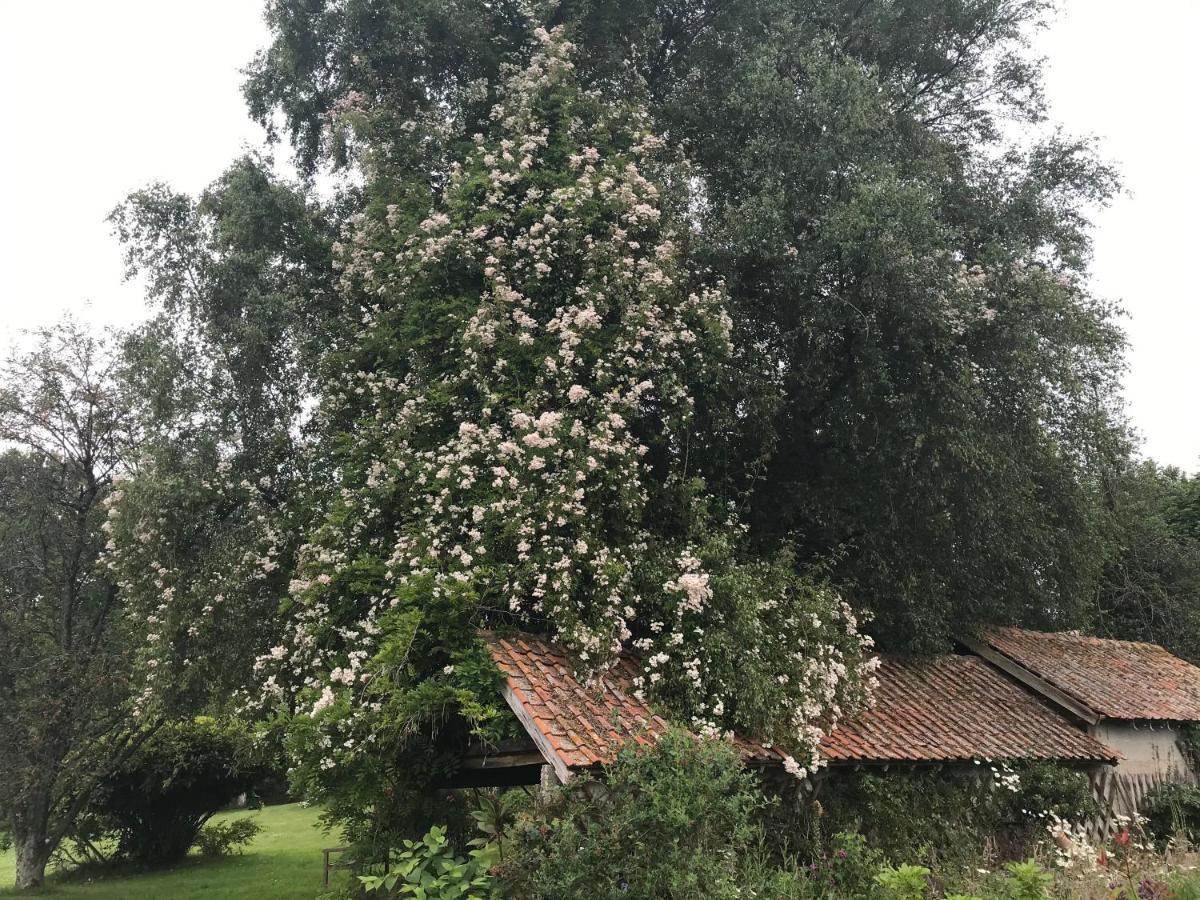 Bed and Breakfast Le Jardin Sauvage Maintenay Esterno foto