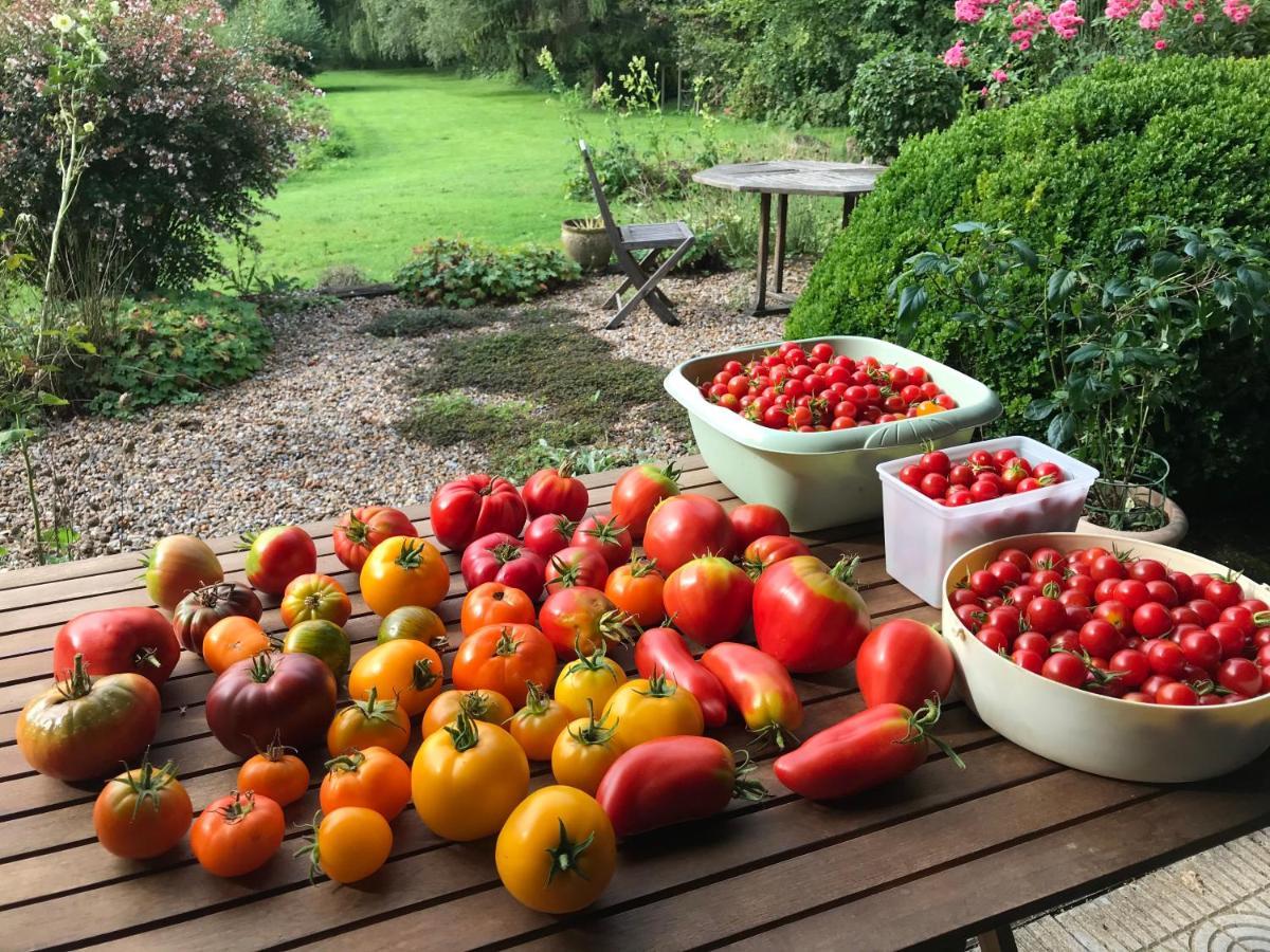 Bed and Breakfast Le Jardin Sauvage Maintenay Esterno foto