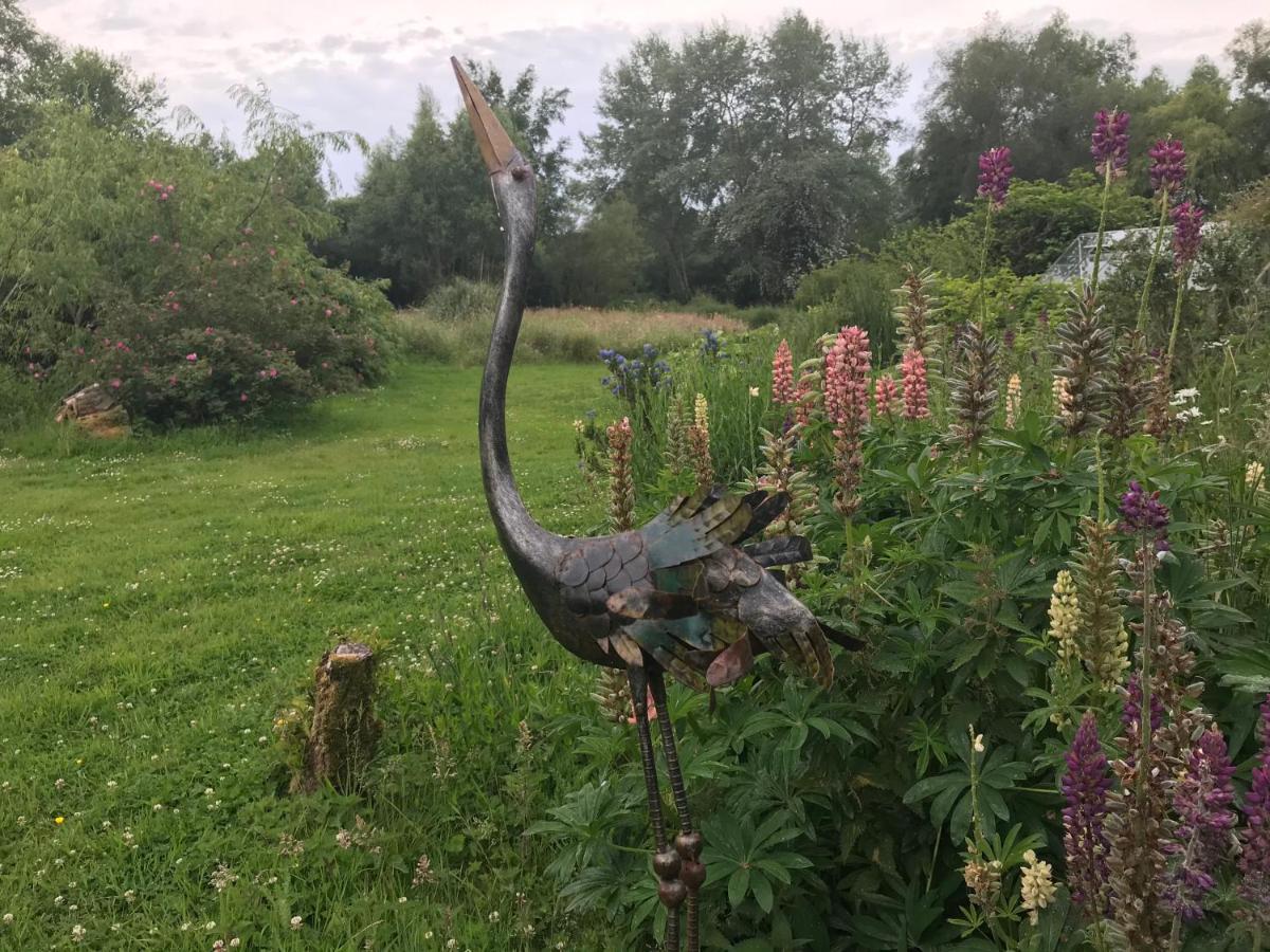 Bed and Breakfast Le Jardin Sauvage Maintenay Esterno foto