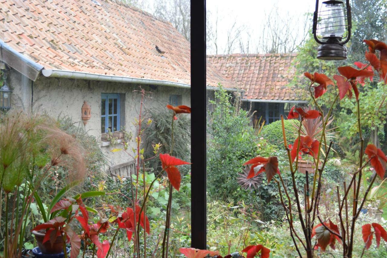 Bed and Breakfast Le Jardin Sauvage Maintenay Esterno foto
