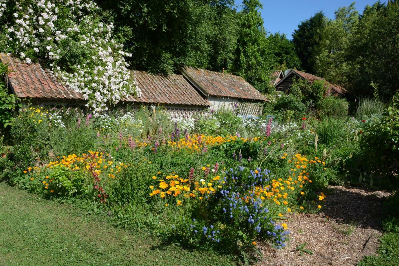 Bed and Breakfast Le Jardin Sauvage Maintenay Esterno foto