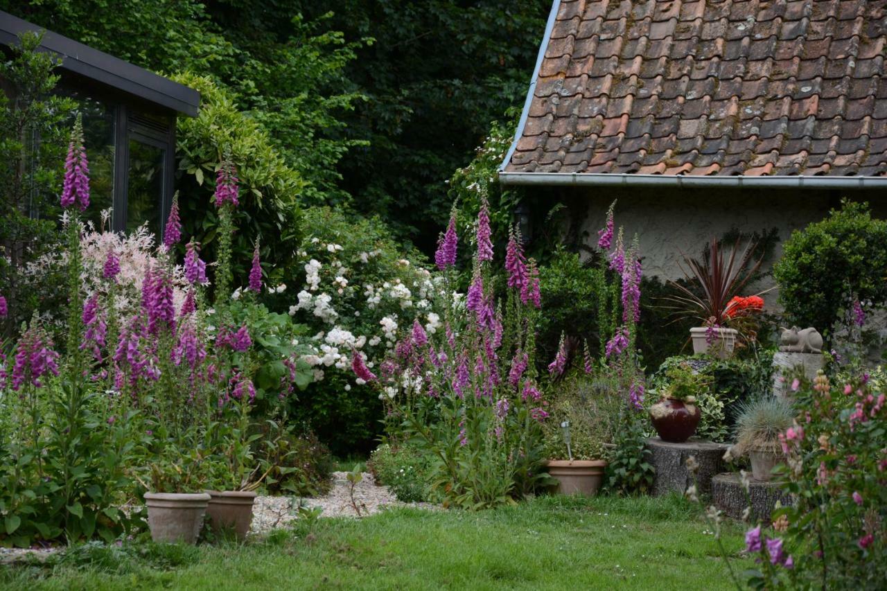 Bed and Breakfast Le Jardin Sauvage Maintenay Esterno foto