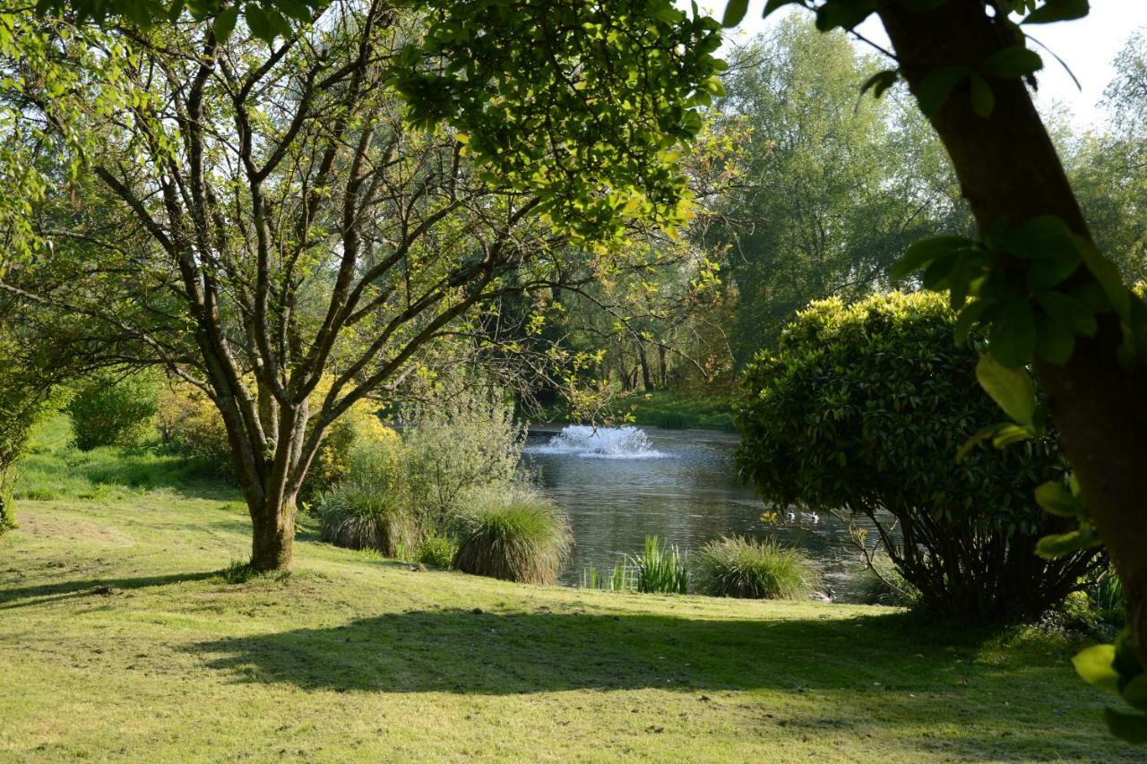 Bed and Breakfast Le Jardin Sauvage Maintenay Esterno foto